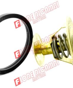 61589109 - TERMOSTATO A. 74°